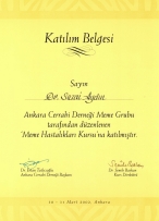 Prof. Dr. Sezai Aydın